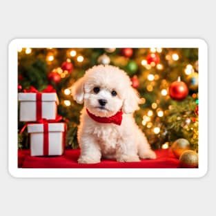 Bichon Frise Puppy with Christmas Gifts Sticker